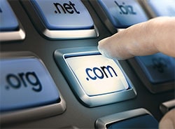 Domain Registration